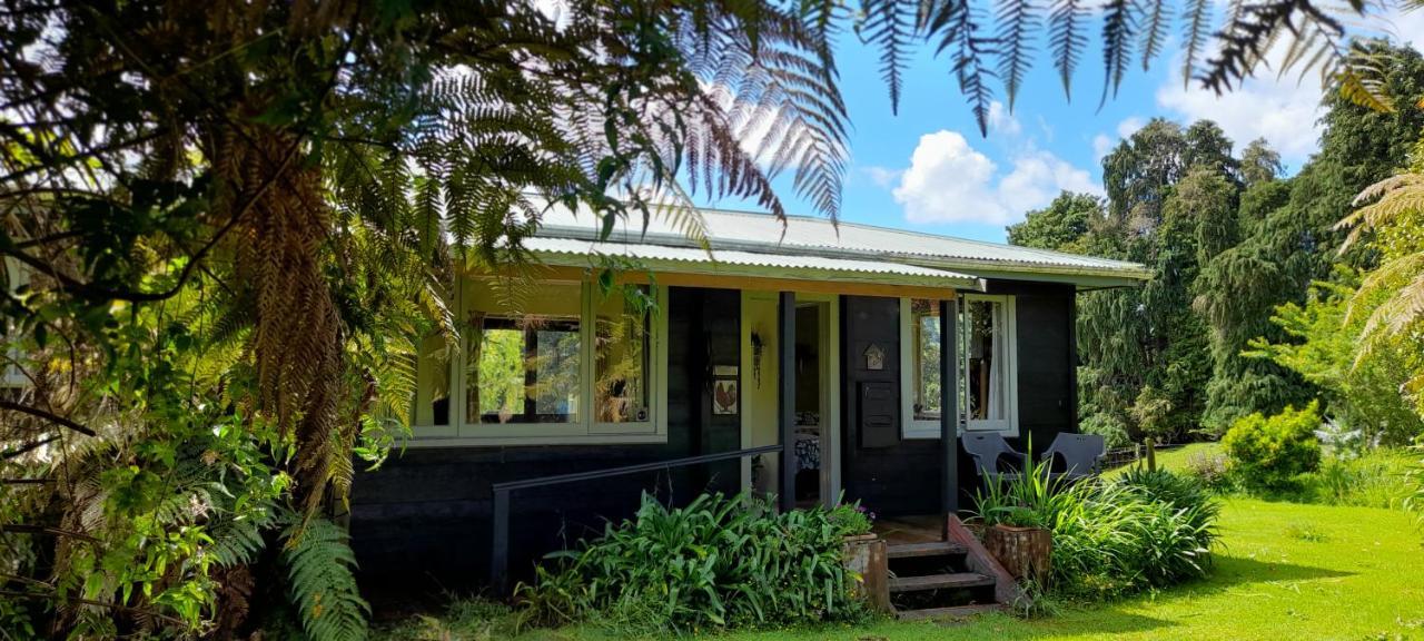 Earthsounds Country Cottage Taumarunui Dış mekan fotoğraf