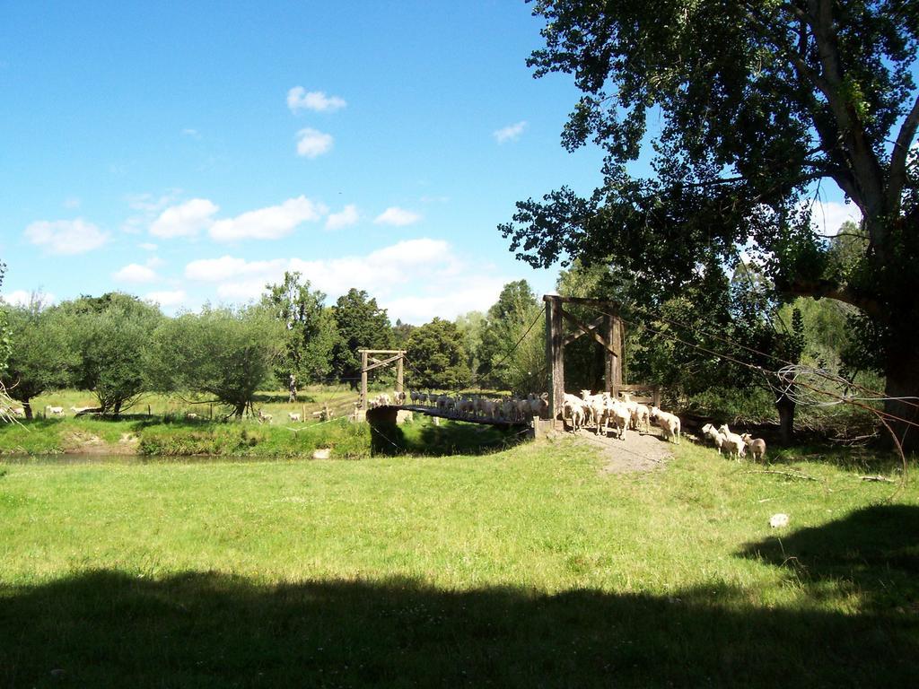 Earthsounds Country Cottage Taumarunui Oda fotoğraf